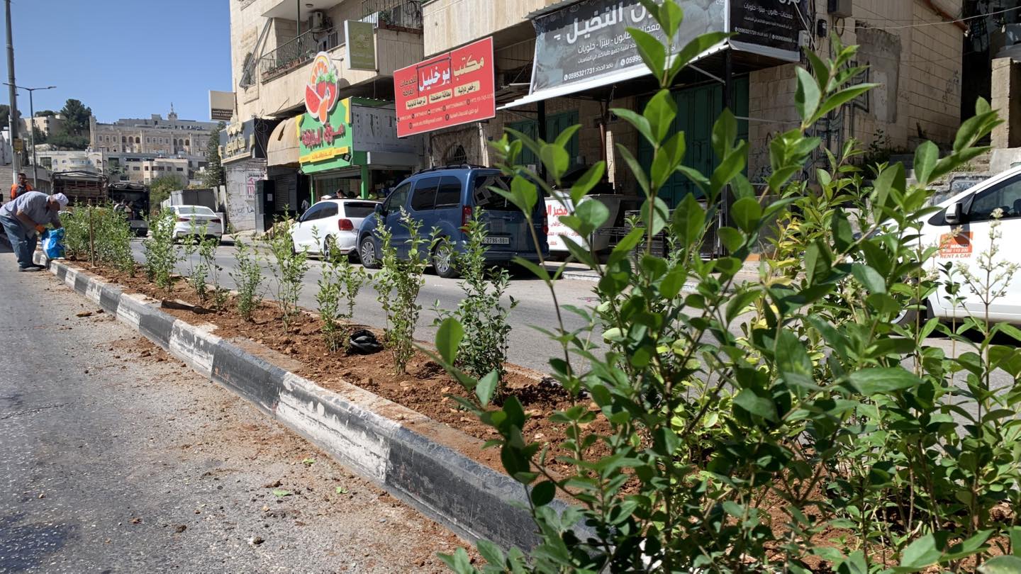 ضمن مشروع "بيت لحم مدينة خضراء" بلدية بيت لحم تنظّم نشاطًا بيئيًا لتنظيف وتخضير شارع المهد