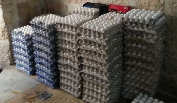 دائرة الصحة في بلدية بيت لحم تضبط عددا كبير ا من كراتين البيض الفاسد وتتلفها